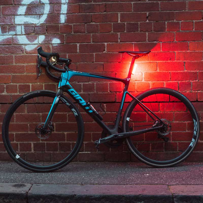 Knog Big Cobber Lights